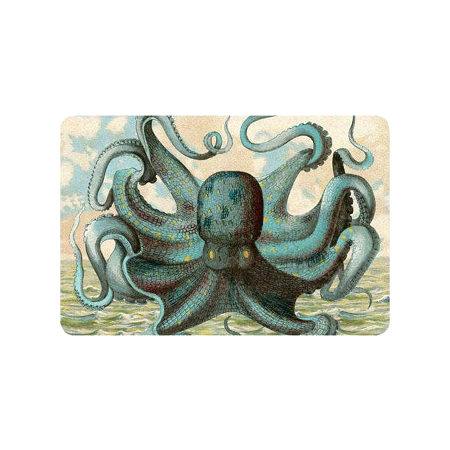 Octopus Seaside Postcard