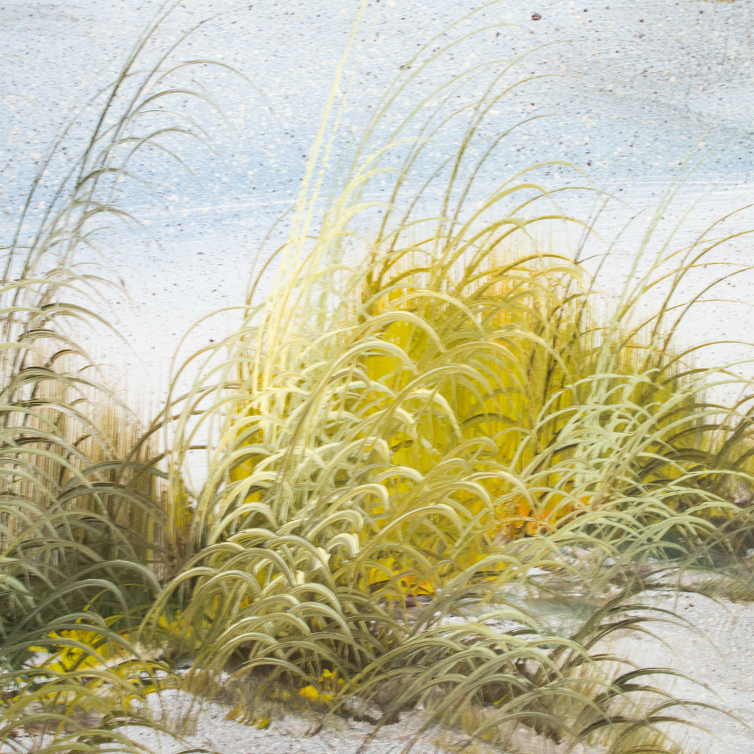 Dunes Seaside Painting by H. Mondrian