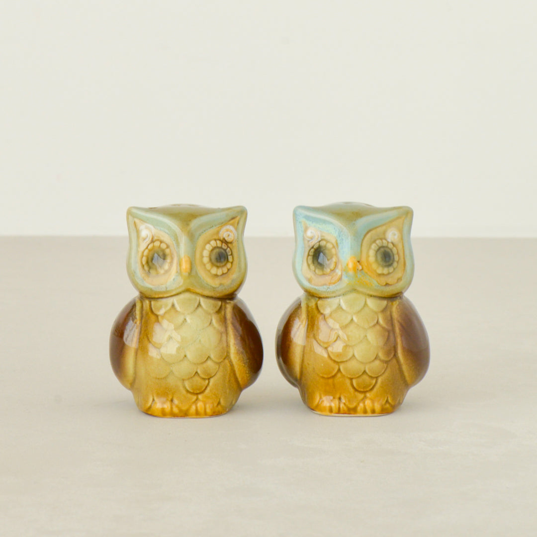 Owls Salt & Pepper Shaker Set