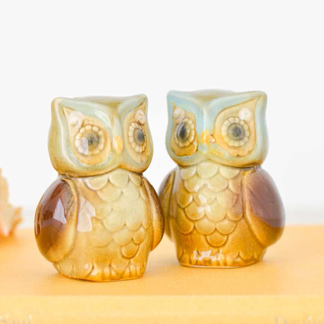 Owls Salt & Pepper Shaker Set