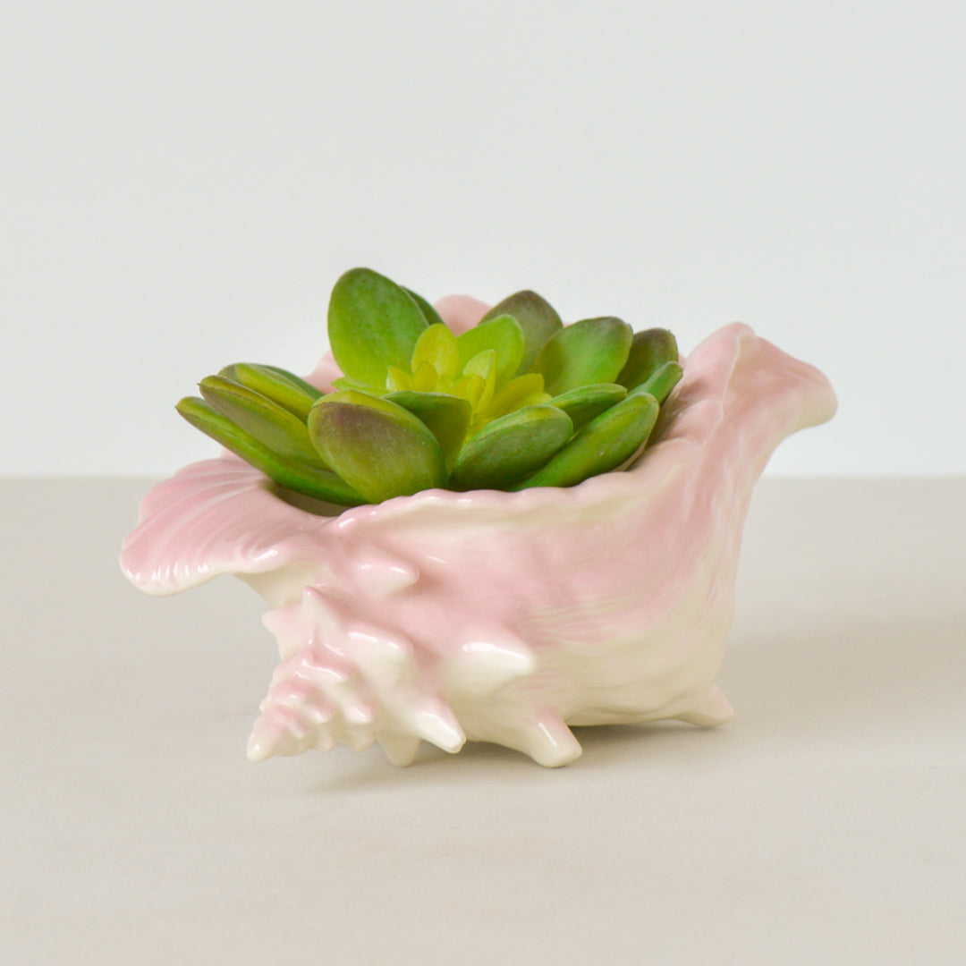 Small Pink Ombre Shell Planter