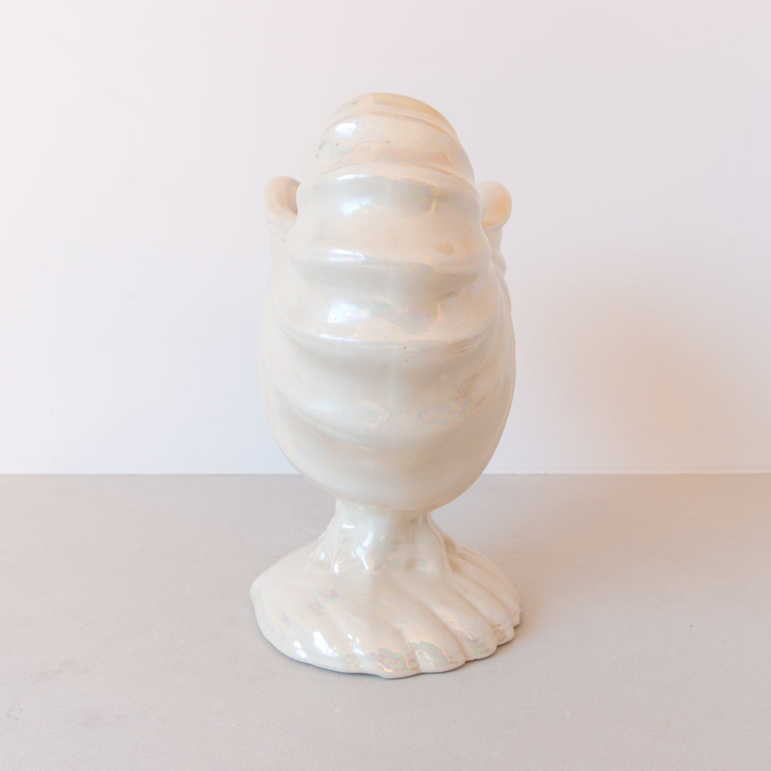 Nautilus Shell Cachepot Ice Bucket – The Little Coterie Shop